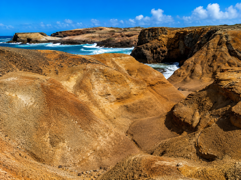 La Savane des Pétrifications