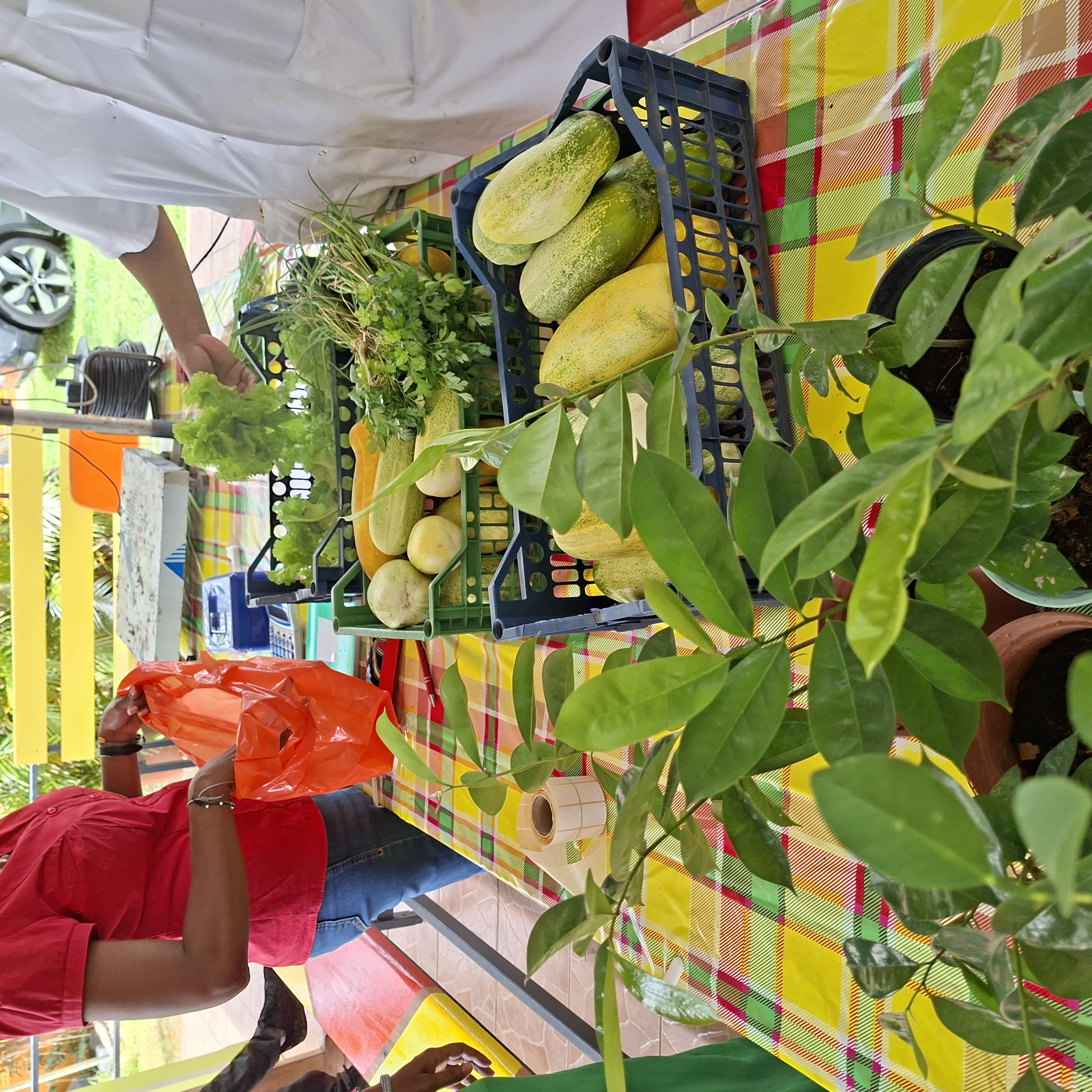 Étal de vente de légumes locaux de l'ESAT Karaïba